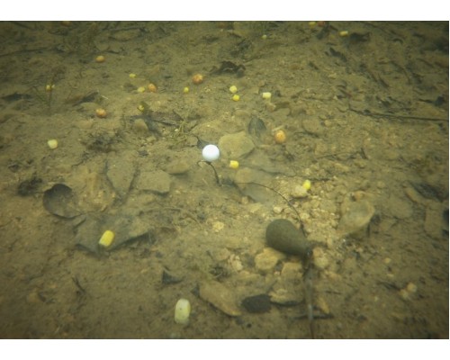 Плавающие искусственные бойлы ESP Buoyant Boilies White/Pink