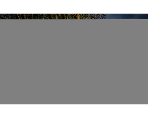 Панель с москитной сеткой для укрытия Trakker Tempest Brolly 100 T Insect Panel